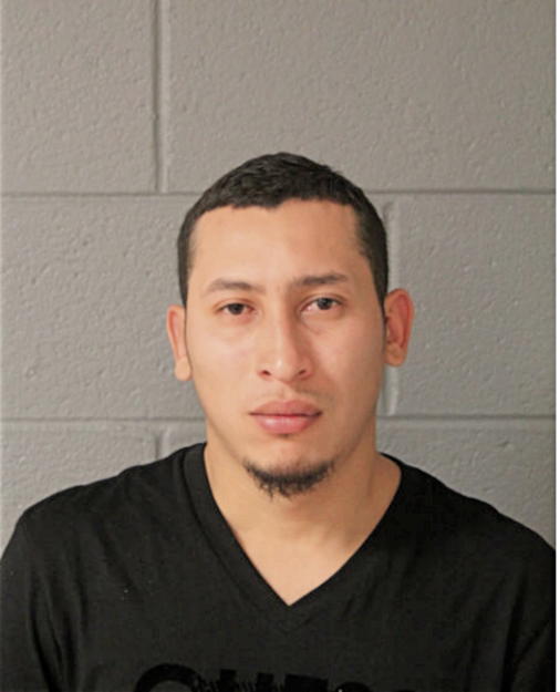 JORGE A SANDRES, Cook County, Illinois