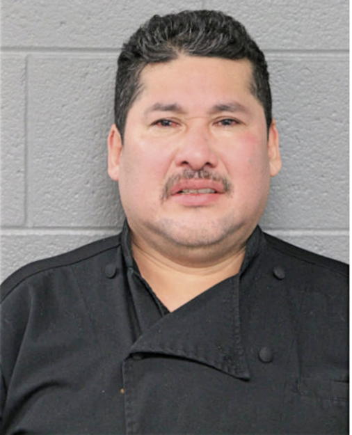JORGE VINALAY, Cook County, Illinois