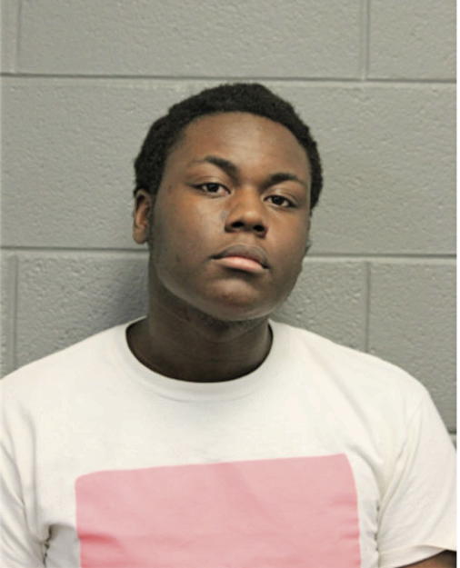 CHARLES W ALLEN, Cook County, Illinois