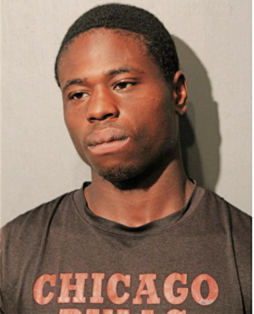 DAVID T YOUNG, Cook County, Illinois
