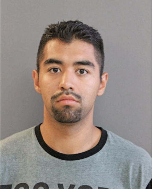 JUAN R ALDERETE, Cook County, Illinois