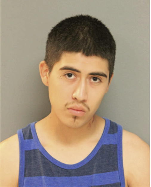 OSWALDO ALVAREZ, Cook County, Illinois