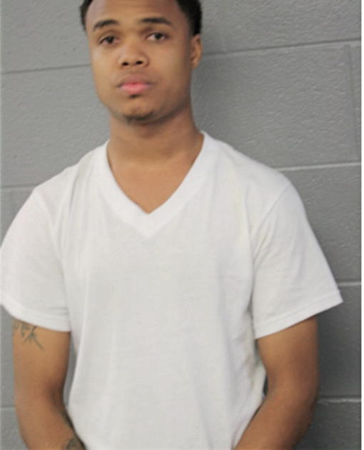 ROBERT C BROWN, Cook County, Illinois