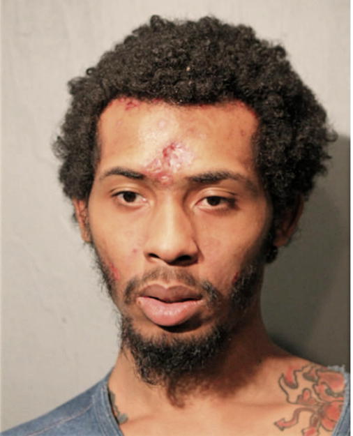STEELE E COLLINS-JOHNSON, Cook County, Illinois