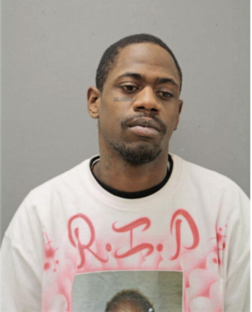 MICHAEL N DAMERON, Cook County, Illinois