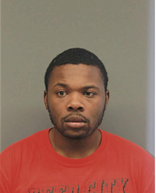 TREMELL K DUKES, Cook County, Illinois