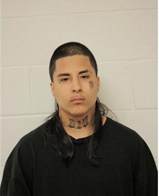 MARIO A ELVIRA, Cook County, Illinois