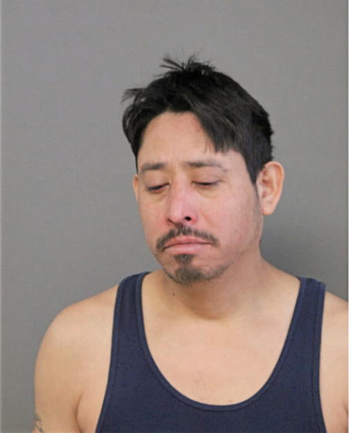VICTOR M ESTRADA, Cook County, Illinois