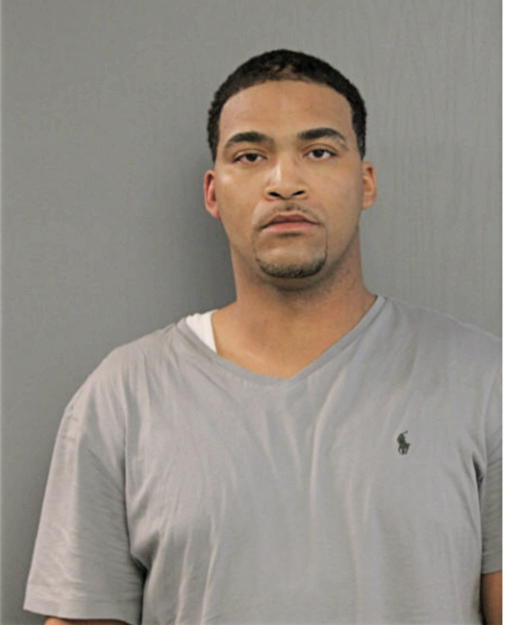 MICHAEL L FLEMING, Cook County, Illinois