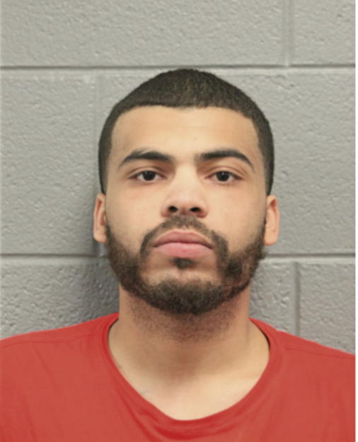 ANTHONY T GALLAGHER, Cook County, Illinois