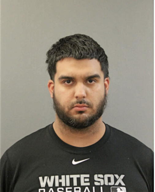 RAPHAEL O GARCIA, Cook County, Illinois