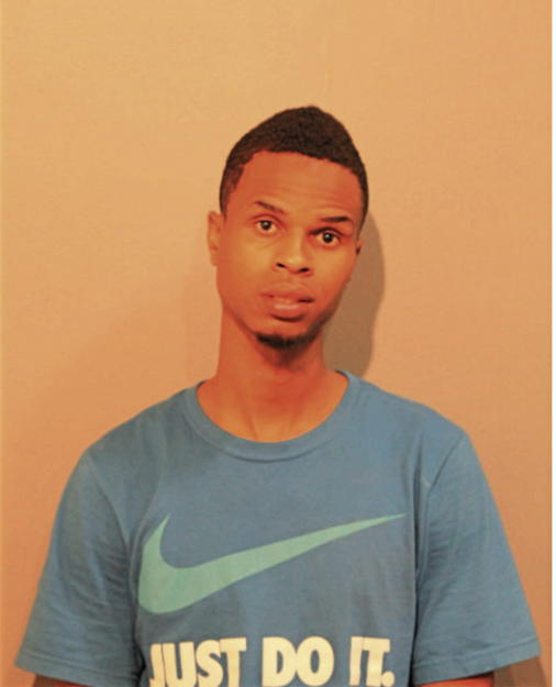 DENIKKO J JOHNSON, Cook County, Illinois