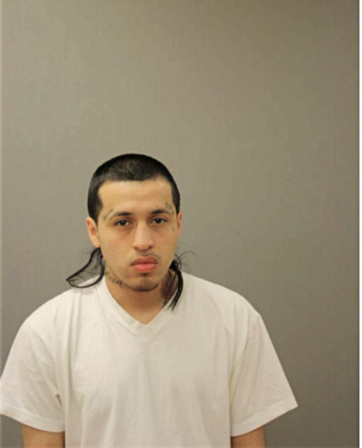 AUGUSTIN MARTINEZ, Cook County, Illinois