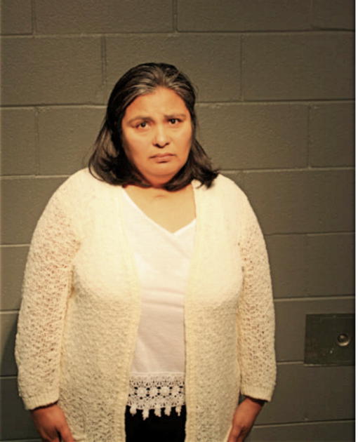TERESA NEGRETE, Cook County, Illinois
