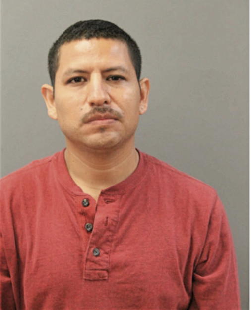 HECTOR E ORTIZ, Cook County, Illinois