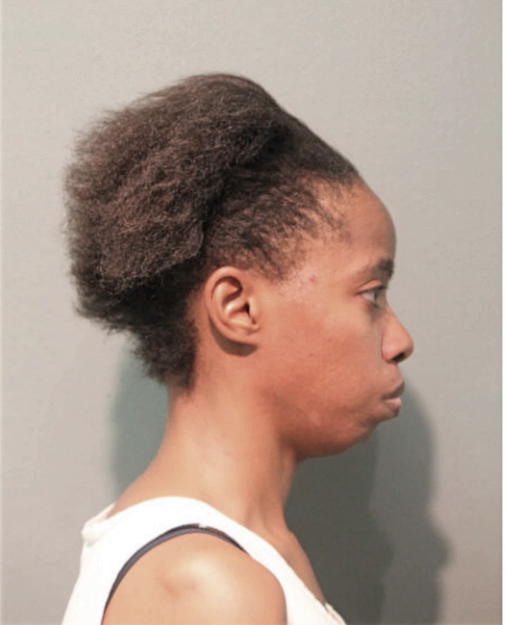 DENISE L RICH, Cook County, Illinois