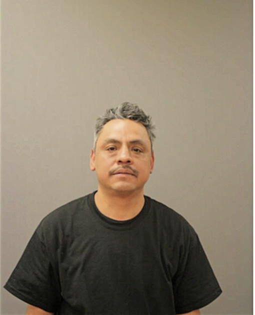 ABEL ROMAN, Cook County, Illinois
