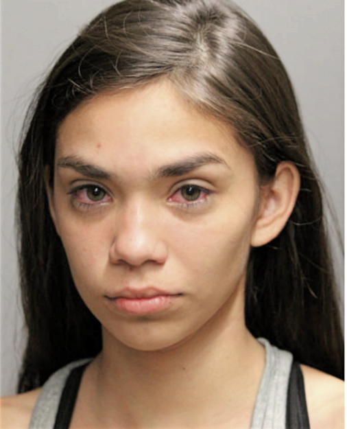 SAHIRA V SOTO MARTINEZ, Cook County, Illinois