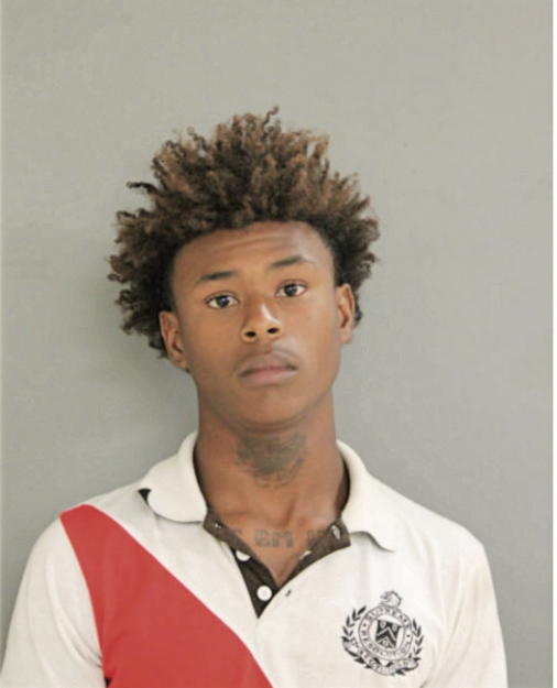 NICOLAS M SPACE, Cook County, Illinois