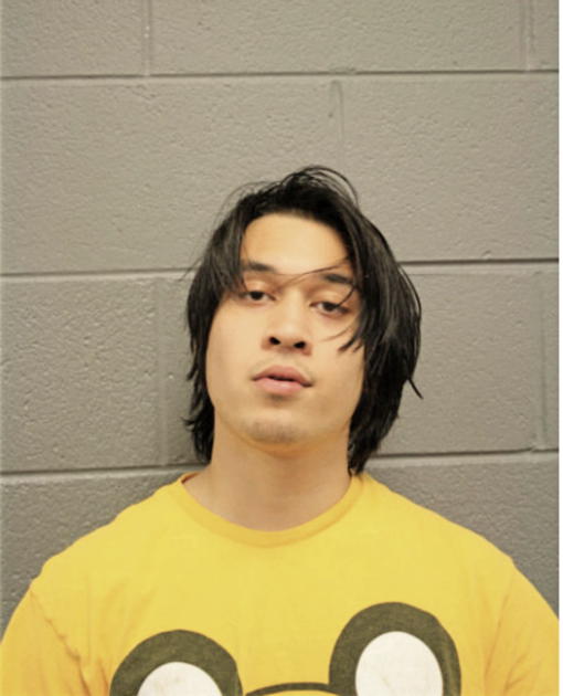 JON T WALDSCHMIDT, Cook County, Illinois