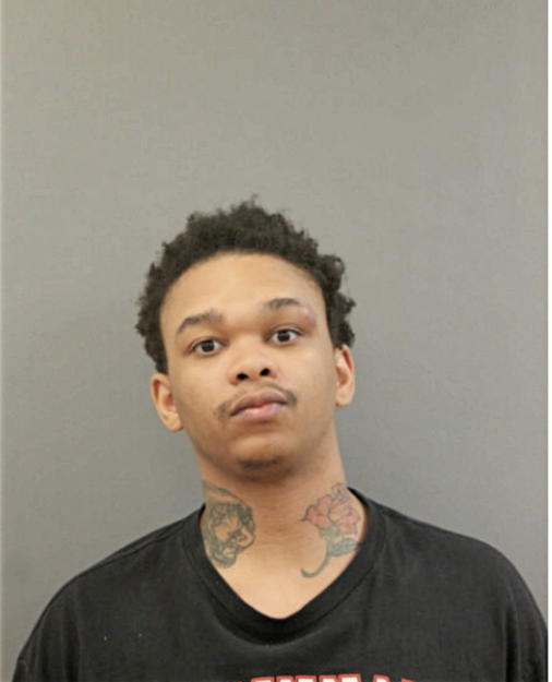 MICHAEL L WILLIAMS, Cook County, Illinois