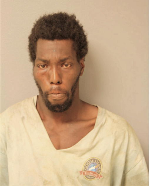 WILLIE C WOODALL, Cook County, Illinois