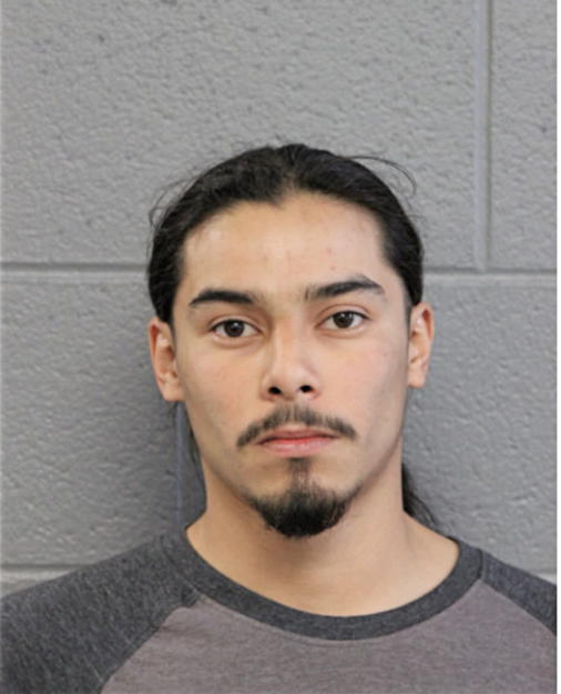 JOSE M ALVAREZ, Cook County, Illinois