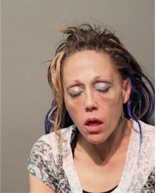 TRACY L ANDERSON, Cook County, Illinois