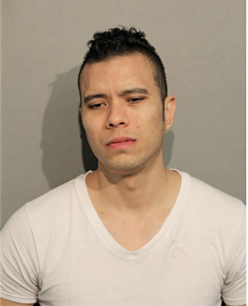 RANDY MCKENDALL AVILA, Cook County, Illinois