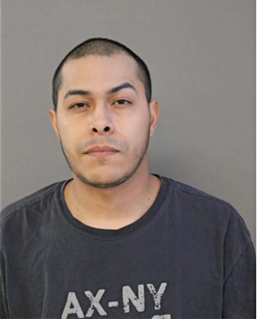 SONNY V CHALUISAN, Cook County, Illinois