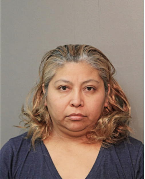 ANA L DIAZ, Cook County, Illinois