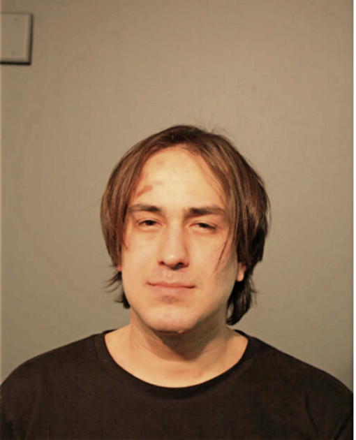 NICHOLAS M FERNANDEZ, Cook County, Illinois