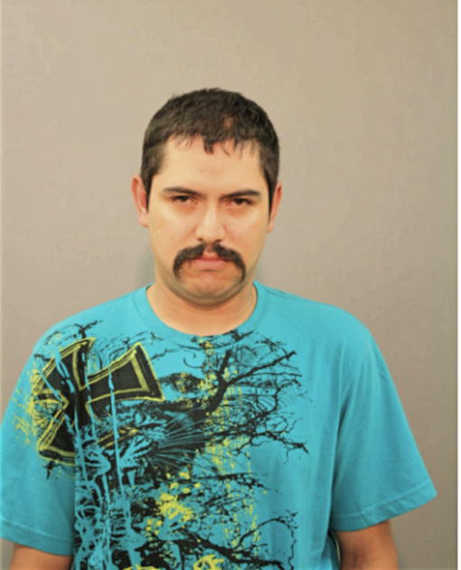 JOSE G GARCIA, Cook County, Illinois