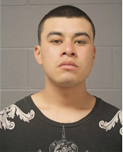 CHRISTIAN D HERNANDEZ, Cook County, Illinois