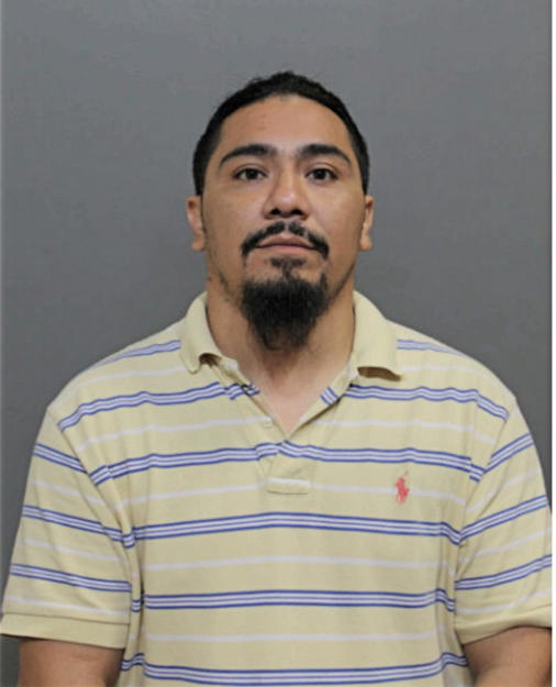 EMMANUEL A HERNANDEZ, Cook County, Illinois