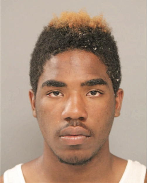 BRANDON L HUGHES, Cook County, Illinois