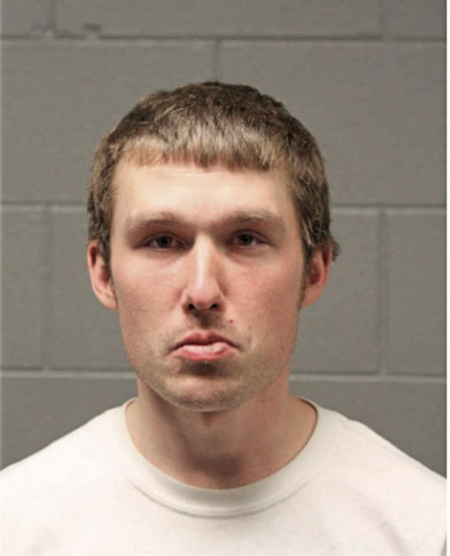 MICHAEL T IMKE, Cook County, Illinois