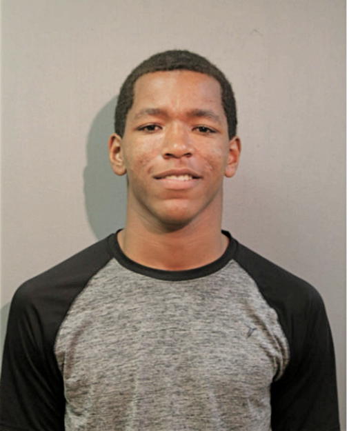 MICHAEL D JOHNSON, Cook County, Illinois