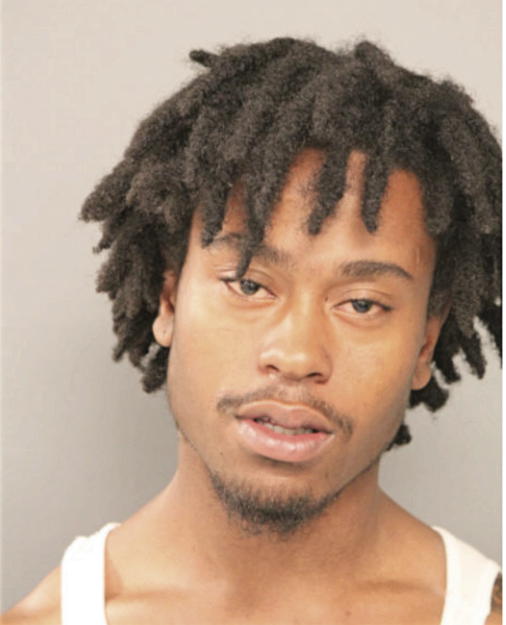 TERRANCE L JOHNSON, Cook County, Illinois