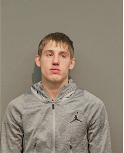 KAROL N LEMANEK, Cook County, Illinois