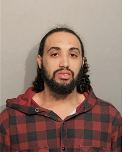PHILIP J LEWIS, Cook County, Illinois