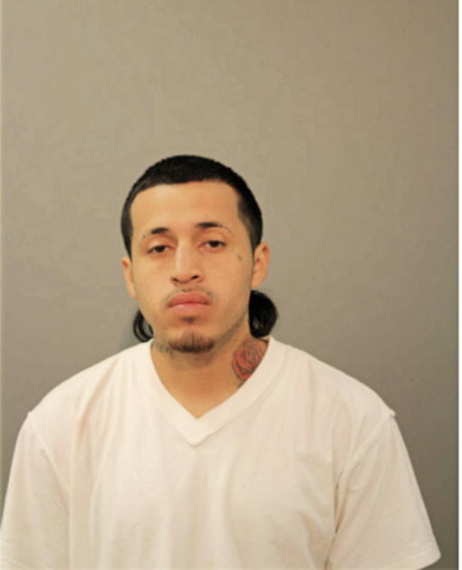AGUSTIN MARTINEZ, Cook County, Illinois