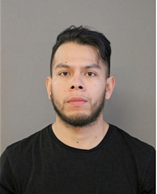 ERICK ORNELAS, Cook County, Illinois