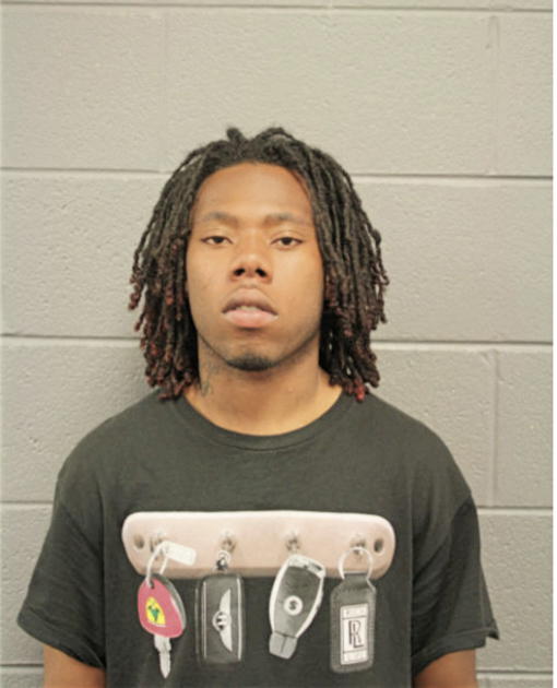 ERIC L PERRY, Cook County, Illinois