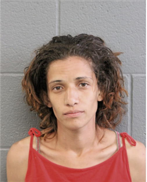 SONIA N RAMOS, Cook County, Illinois
