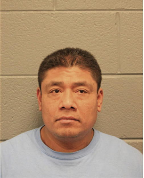NIEVES SALAZAR, Cook County, Illinois