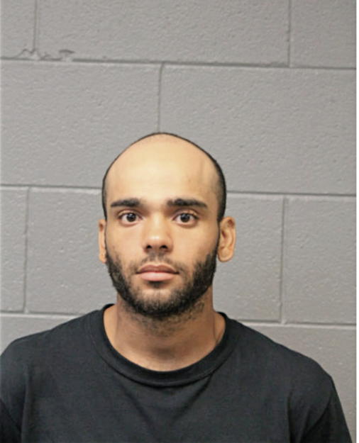 BRYAN VIGO, Cook County, Illinois