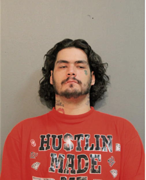 JOHN P WEBSTER, Cook County, Illinois