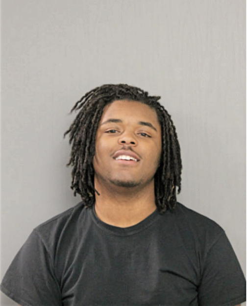 DION T ALLEN, Cook County, Illinois