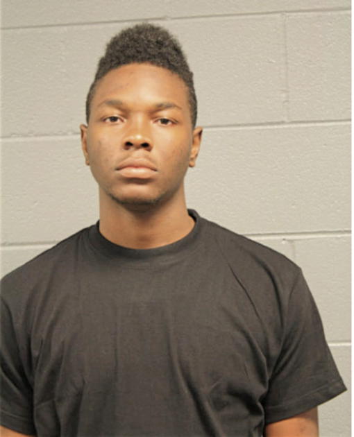 MATTHEW W BRIGHT, Cook County, Illinois